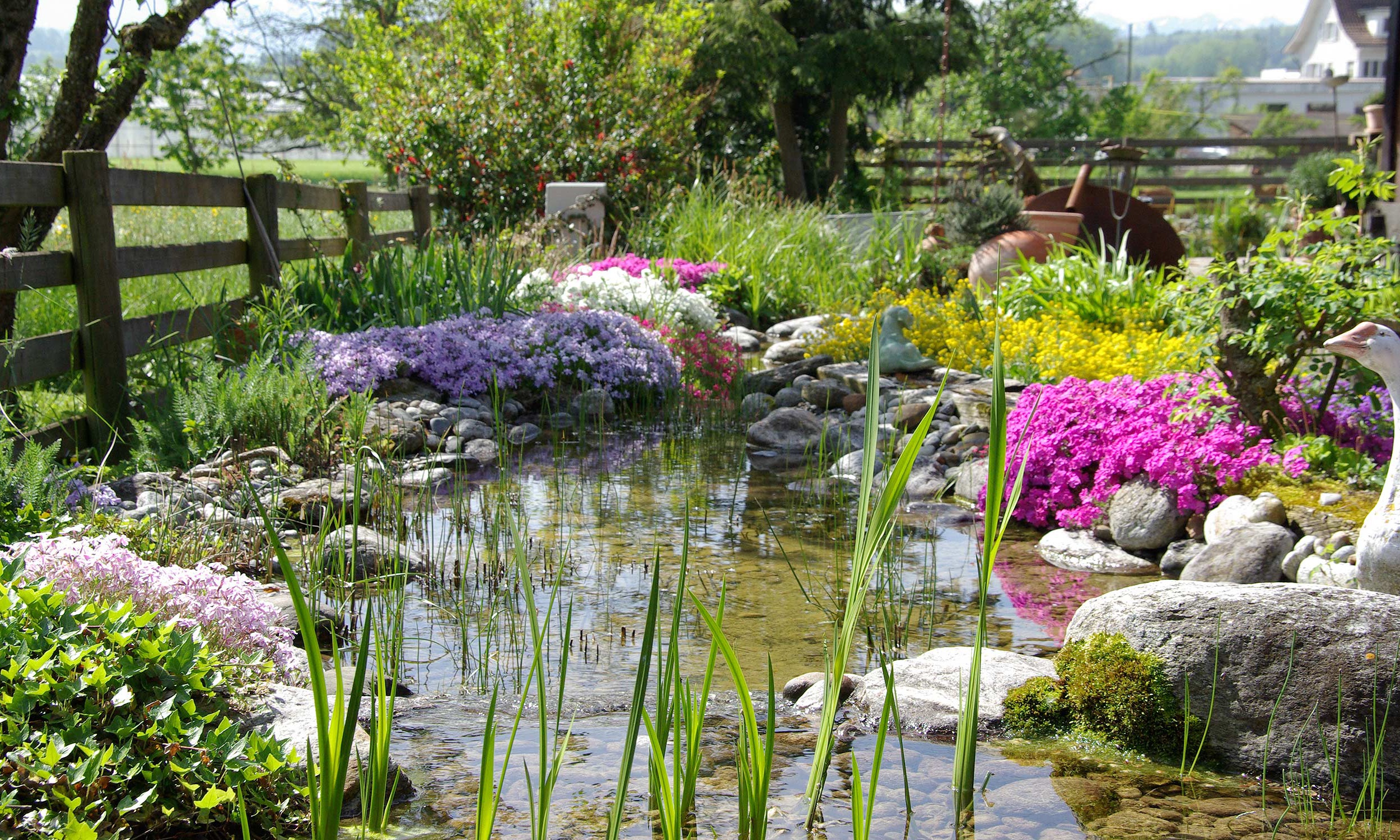 paul minder Gartenbau Bern Neubepflanzung