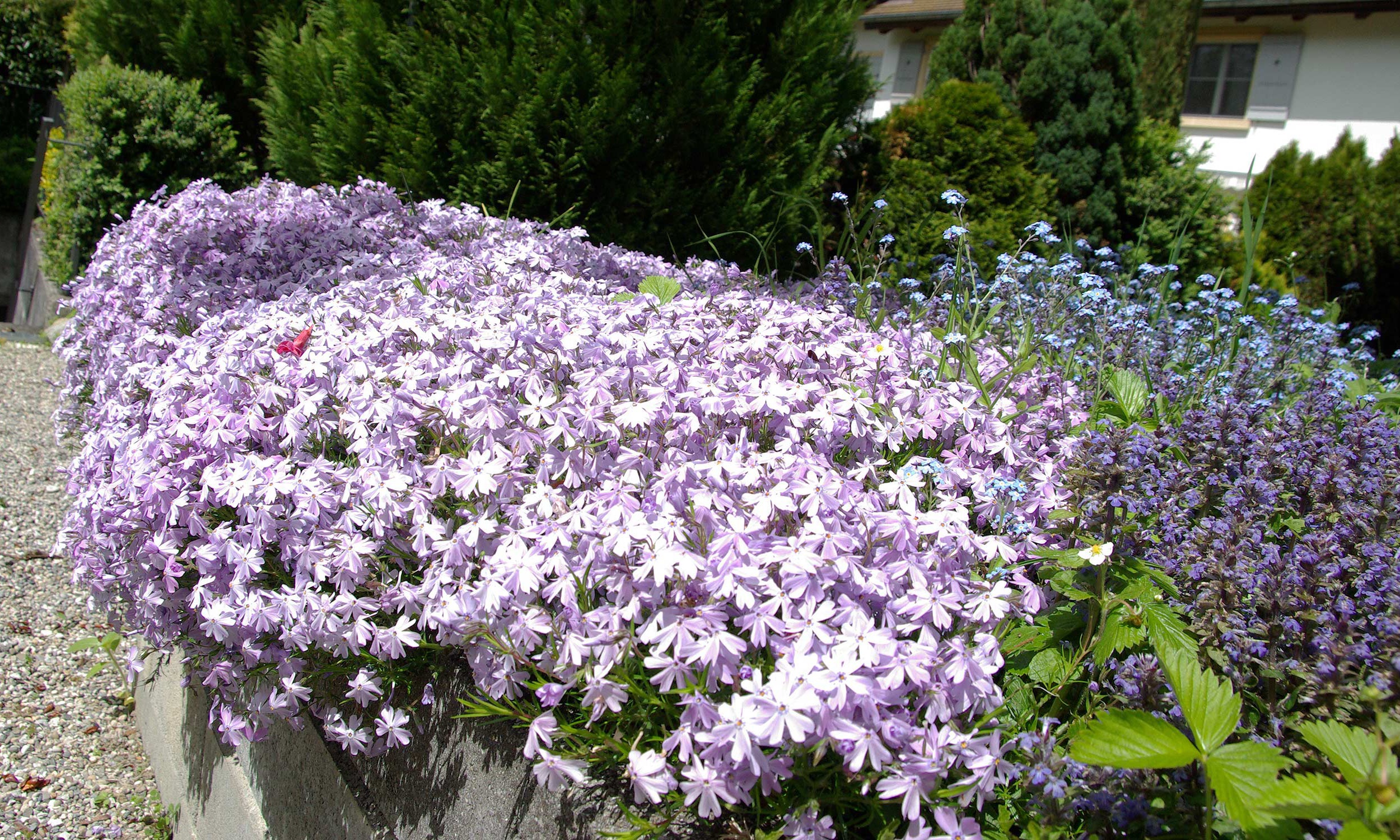 Minder Gartenbau Ag