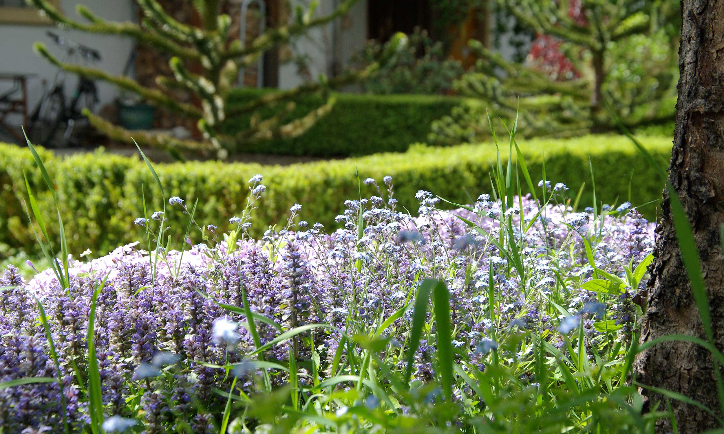 paul minder Gartenbau Bern gardening bern bild leistung 6