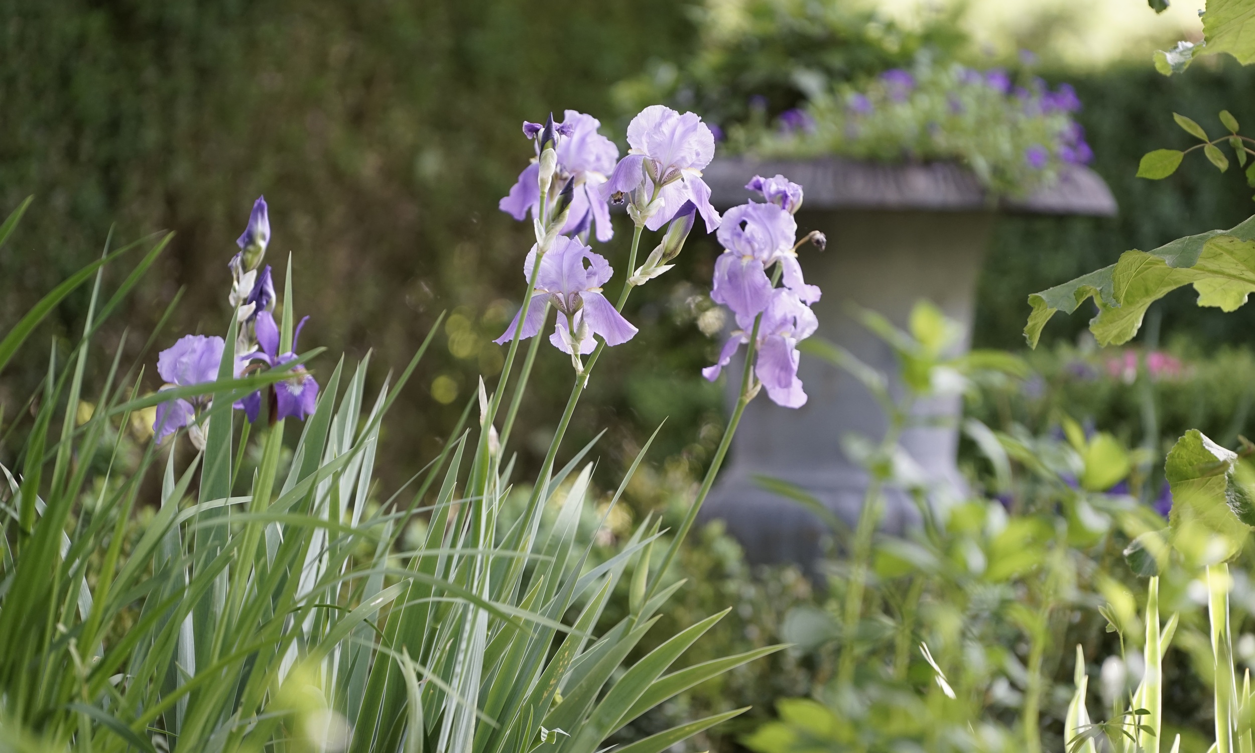 Minder Gartenbau Ag