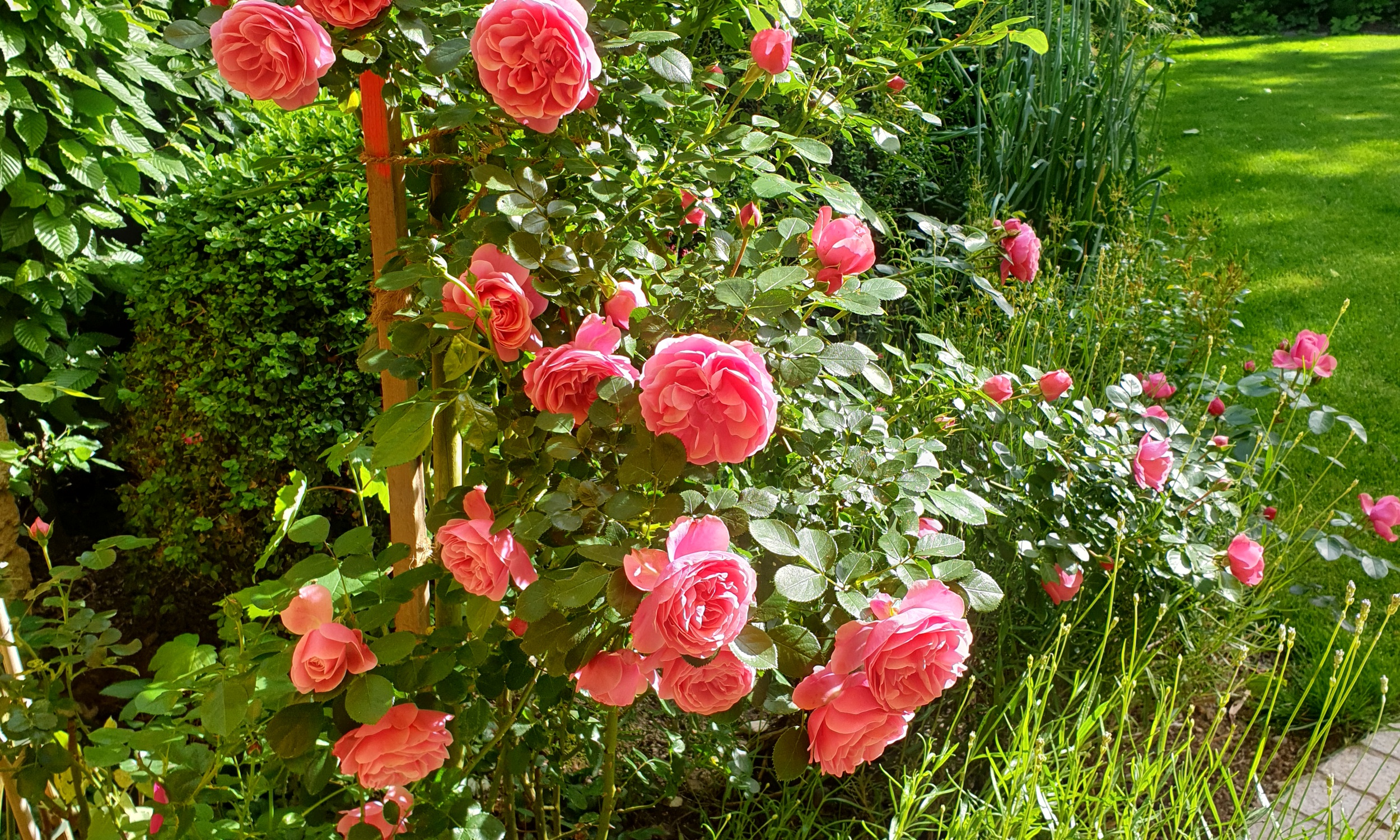 Minder Gartenbau Ag