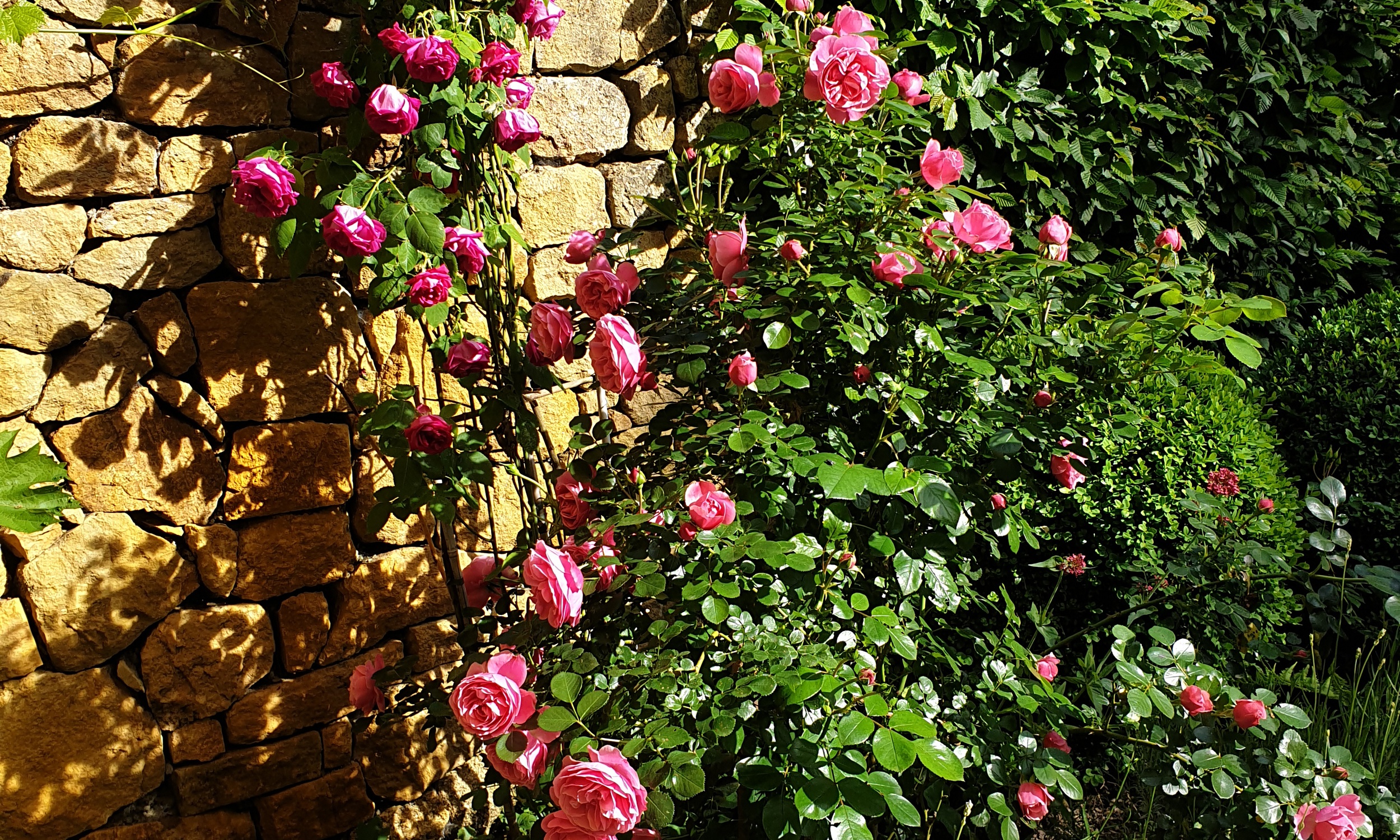 Minder Gartenbau Ag