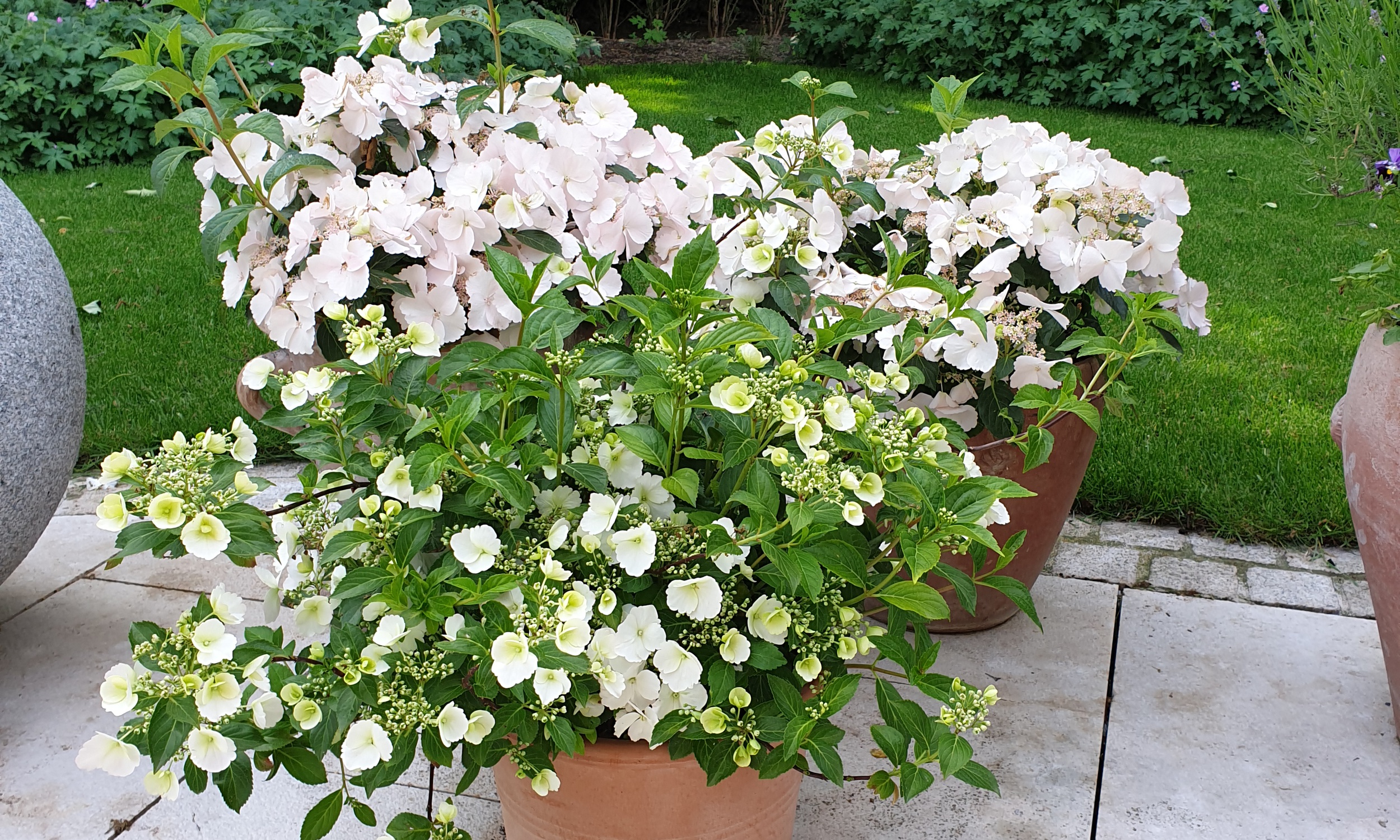 Minder Gartenbau Ag